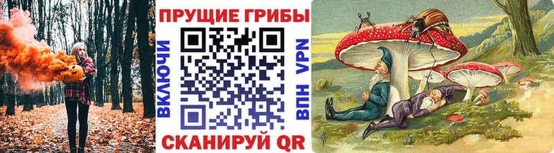 Купить Карабаш Псилоцибиновые грибы Magic Shrooms